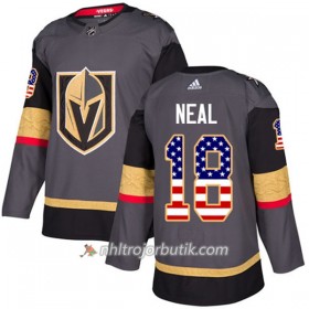 Män Ishockey Vegas Golden Knights Tröja James Neal 18 Adidas 2017-2018 Grau USA Flag Fashion Authentic